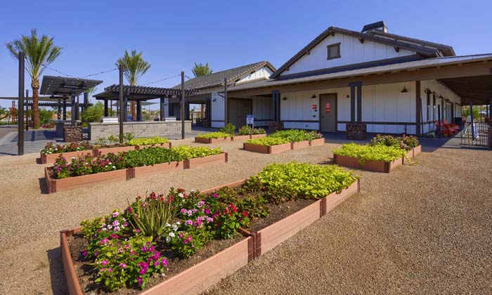 Community Garden